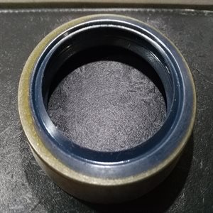 B1DSL OIL SEAL